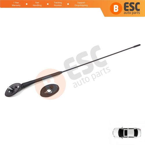 Antenna rod mount base - antenna, for